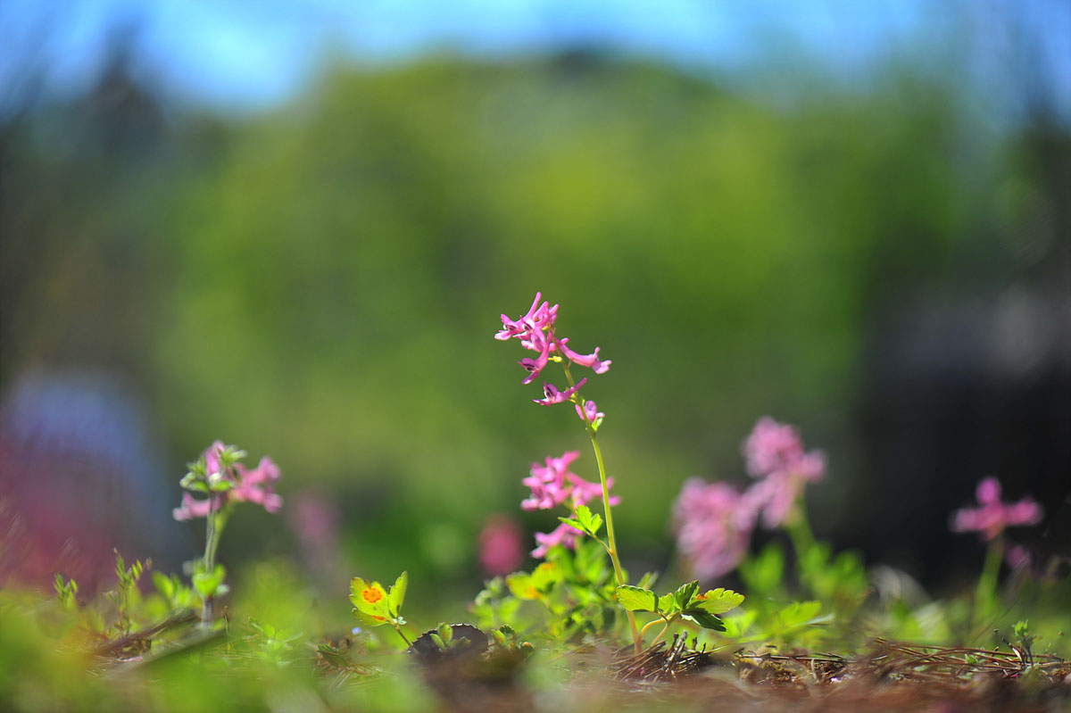 DSC_5735ss.jpg