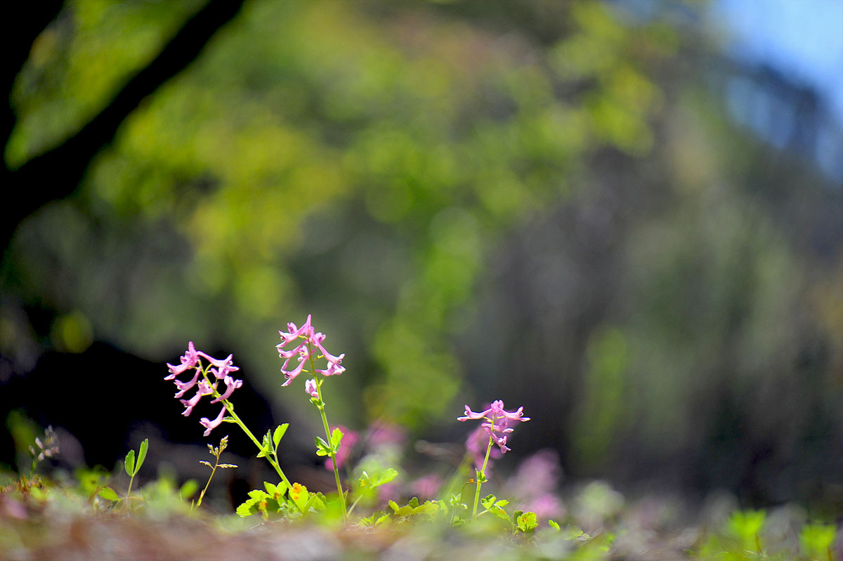 DSC_5697ss.jpg