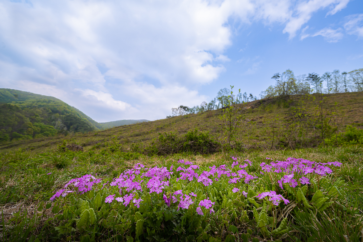 DSC_2437.jpg