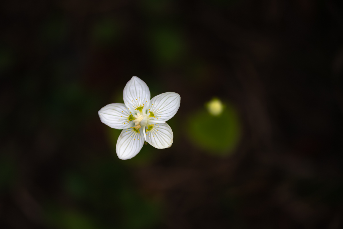 20201004-DSC_1863.jpg