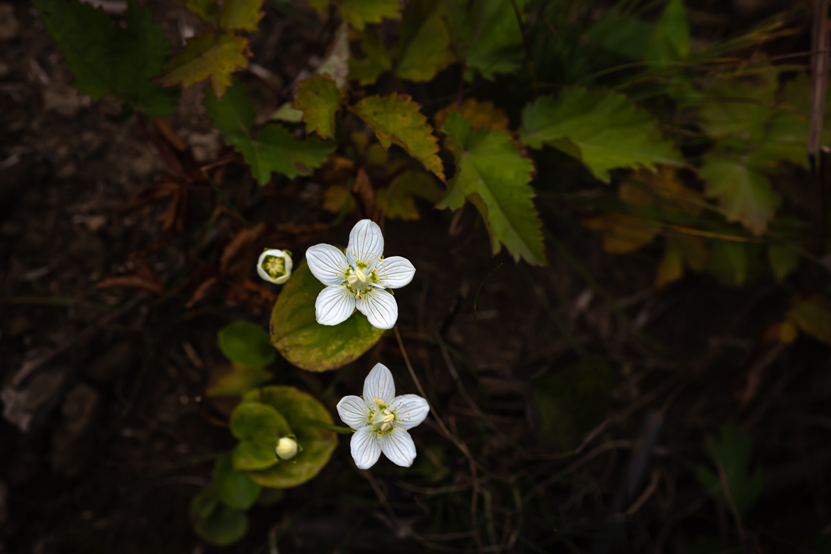 20201004-DSC_1885.jpg