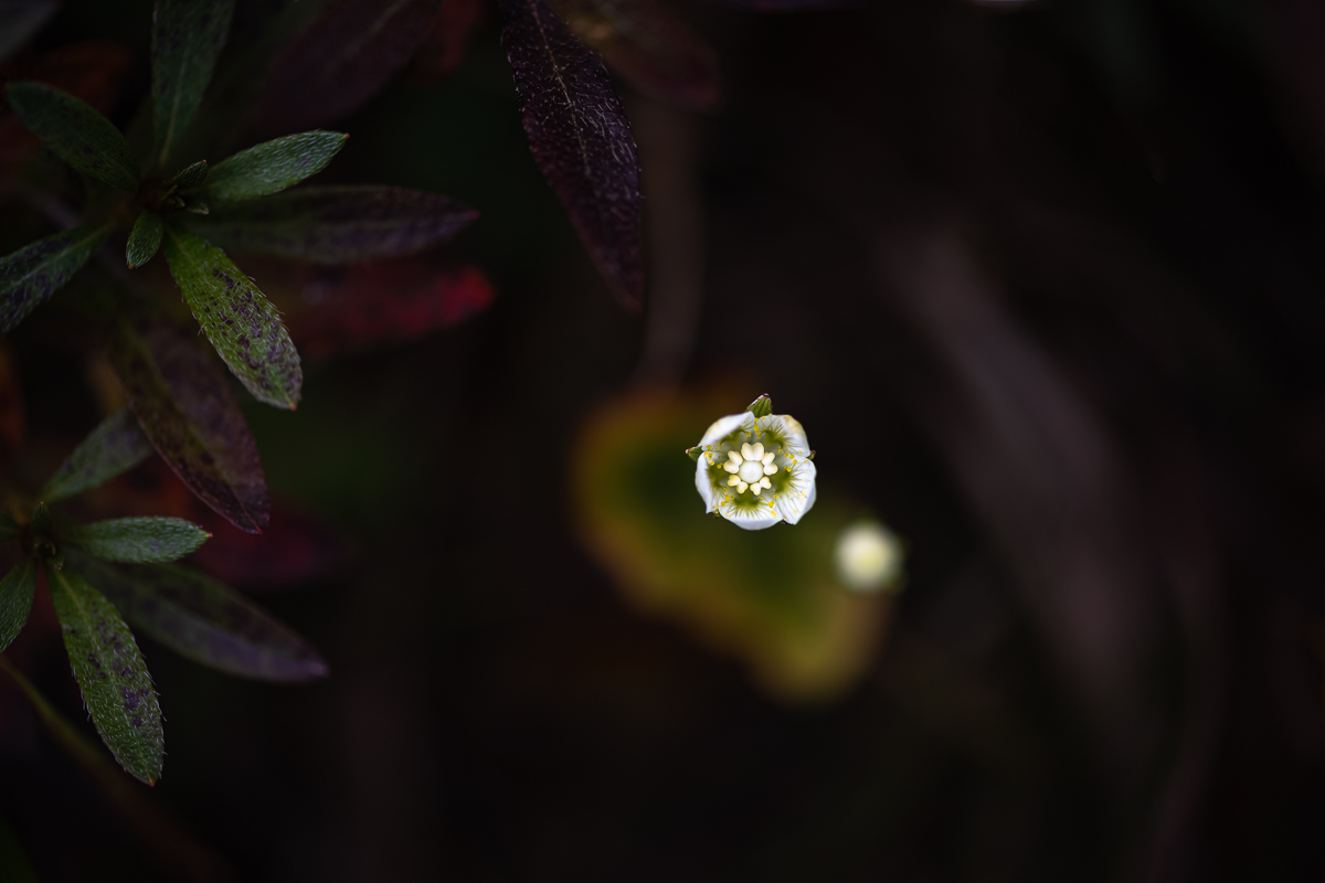 20201004-DSC_1862.jpg