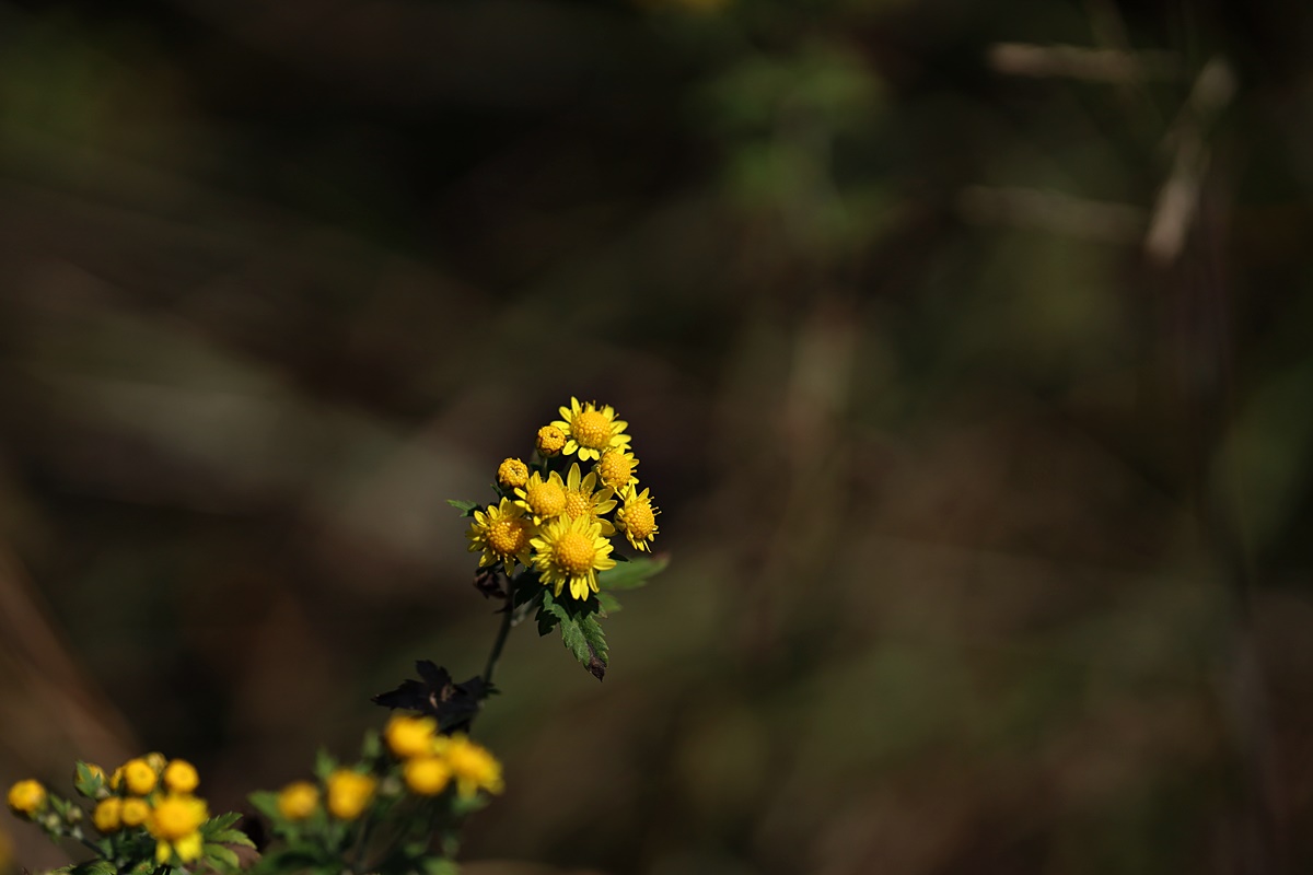 22-10-11 (105)-1.JPG