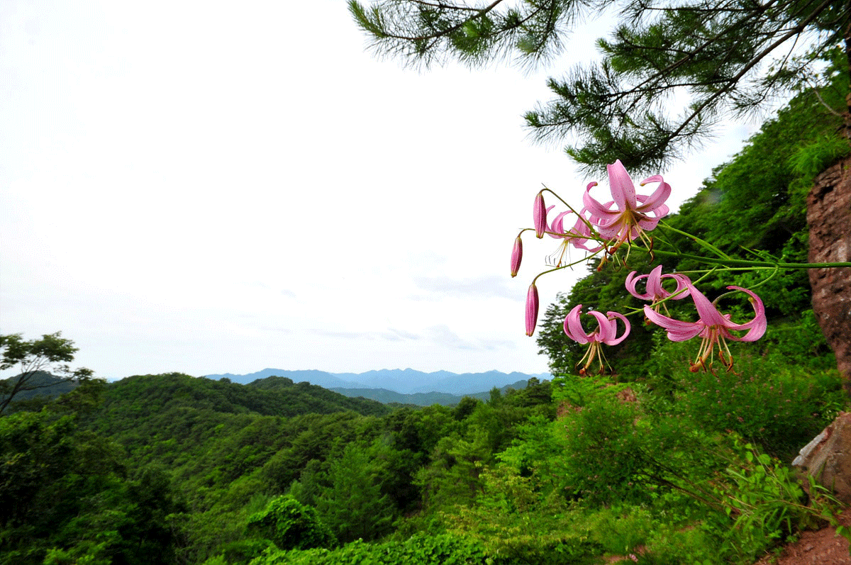 DSC_8303.gif