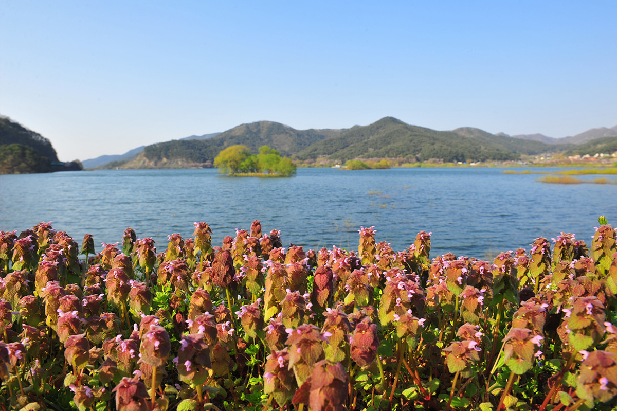 DSC_4012ㅁㄴ.jpg