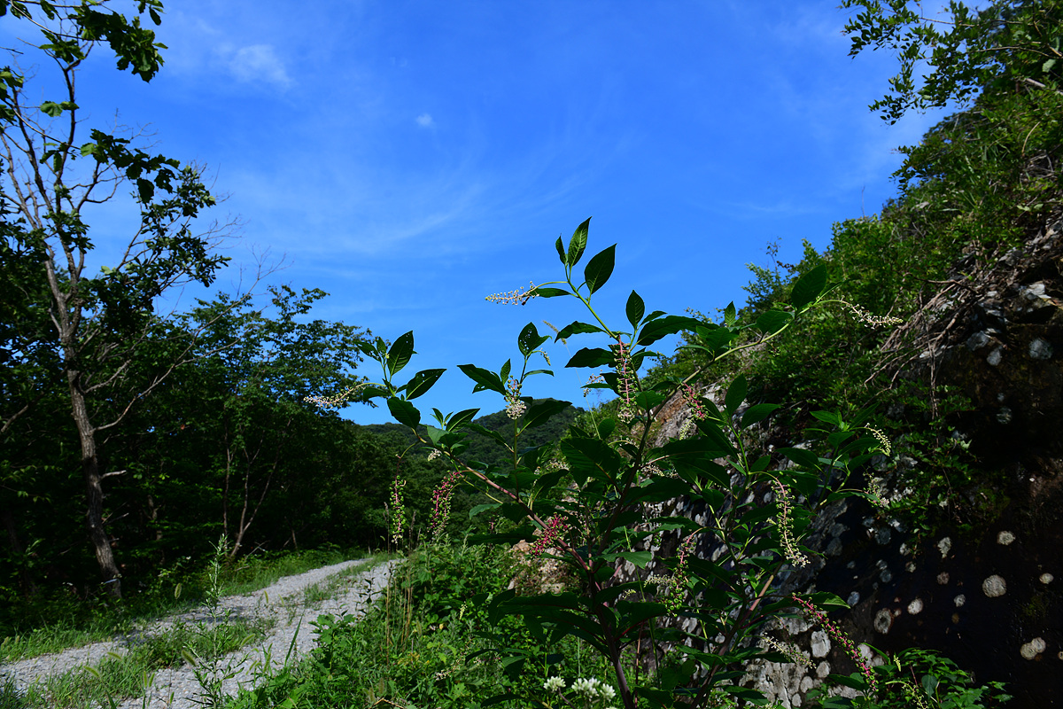 DSC_0670.jpg