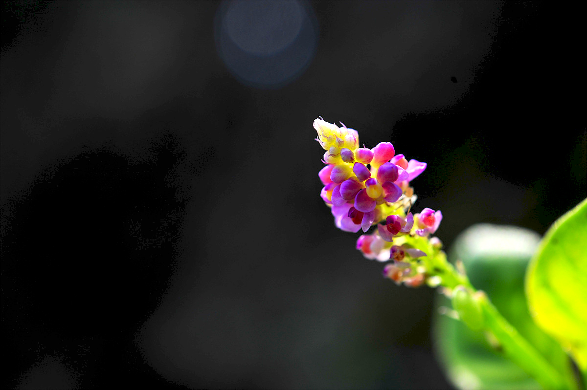 DSC_1379s.jpg