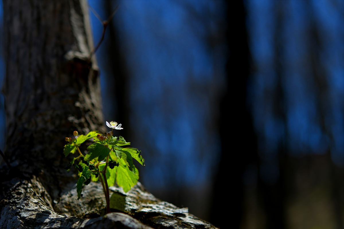 DSC_8984.jpg
