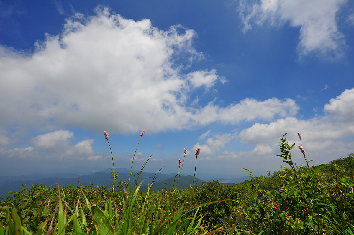 DSC_3907s.jpg