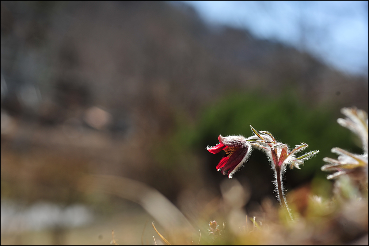 DSC_9148.jpg