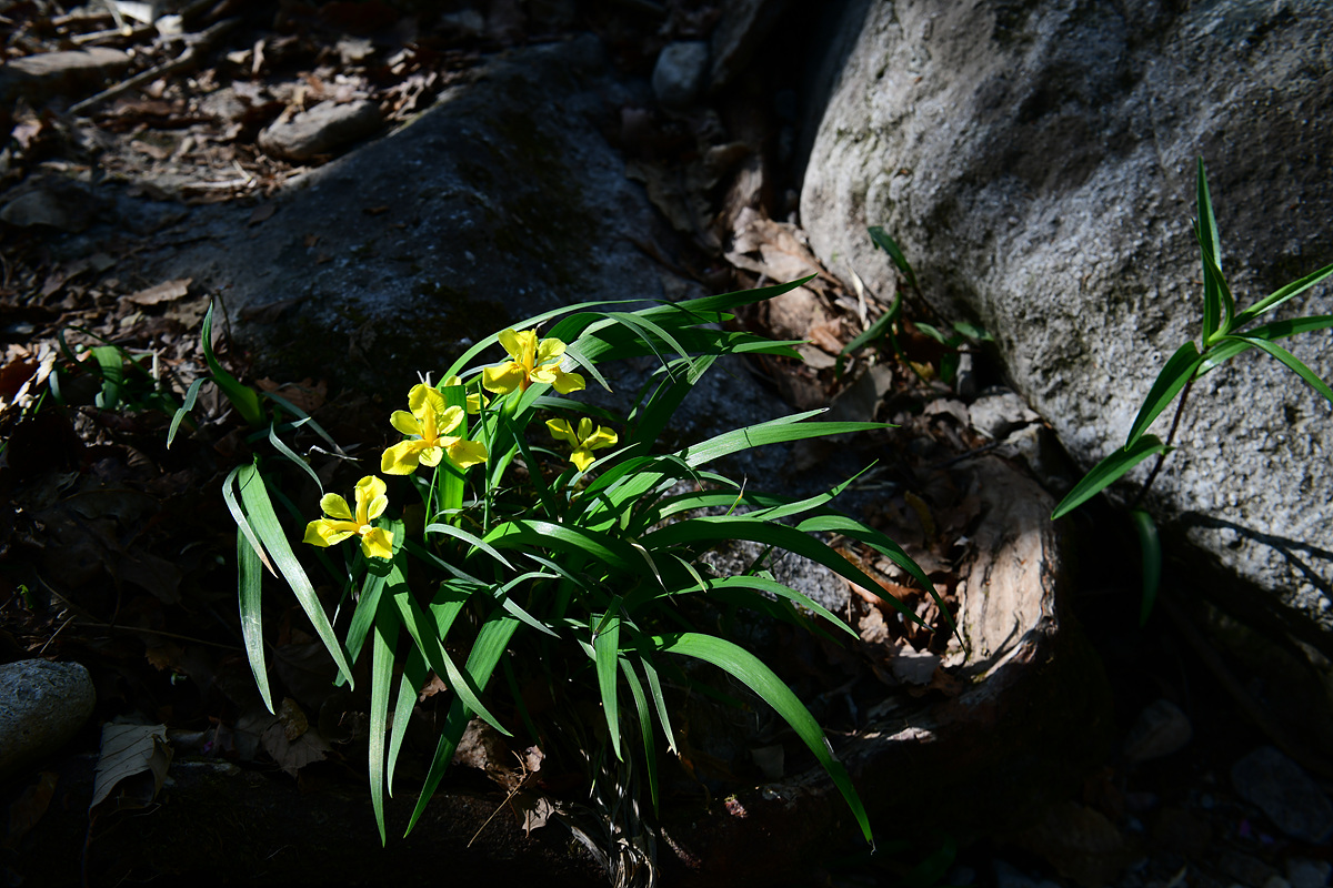 DSC_2780.jpg