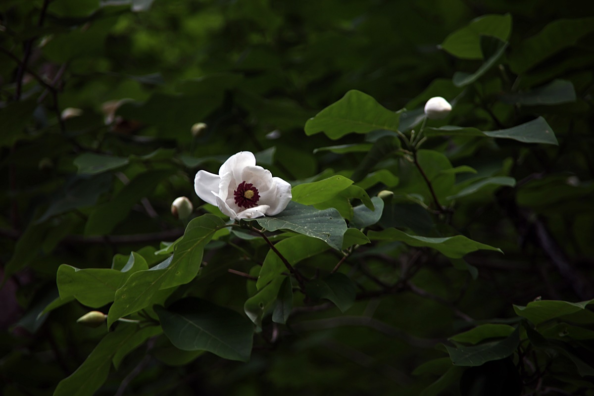 25-05-29 (412)-1.JPG