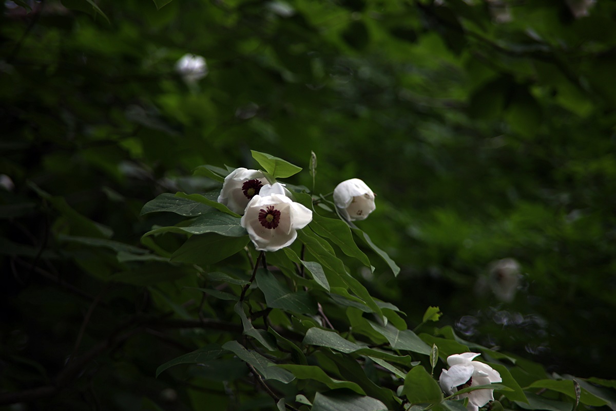 25-05-29 (409)-1.JPG