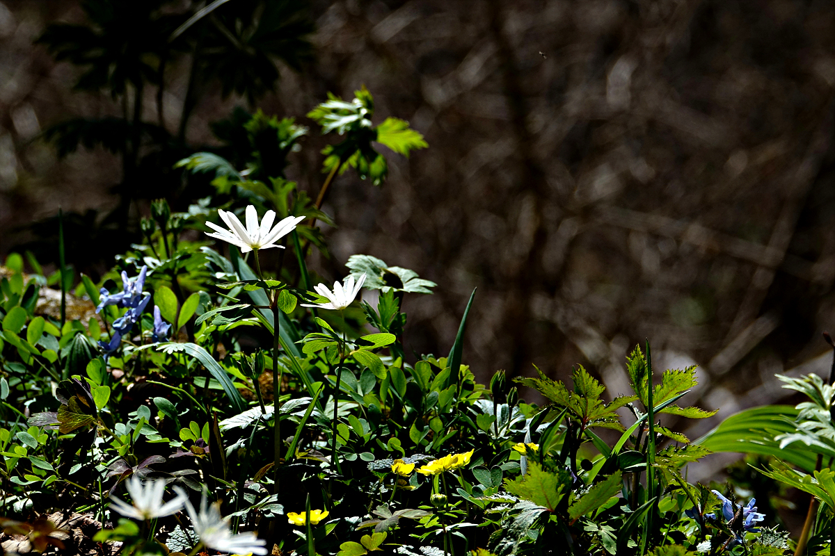KHS00322.jpg