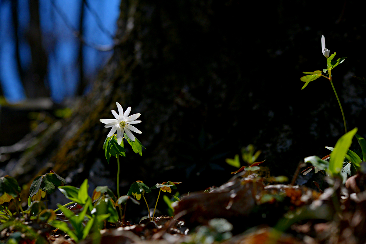 DSC_8969.jpg