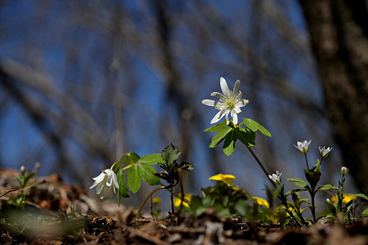 DSC_8955.jpg