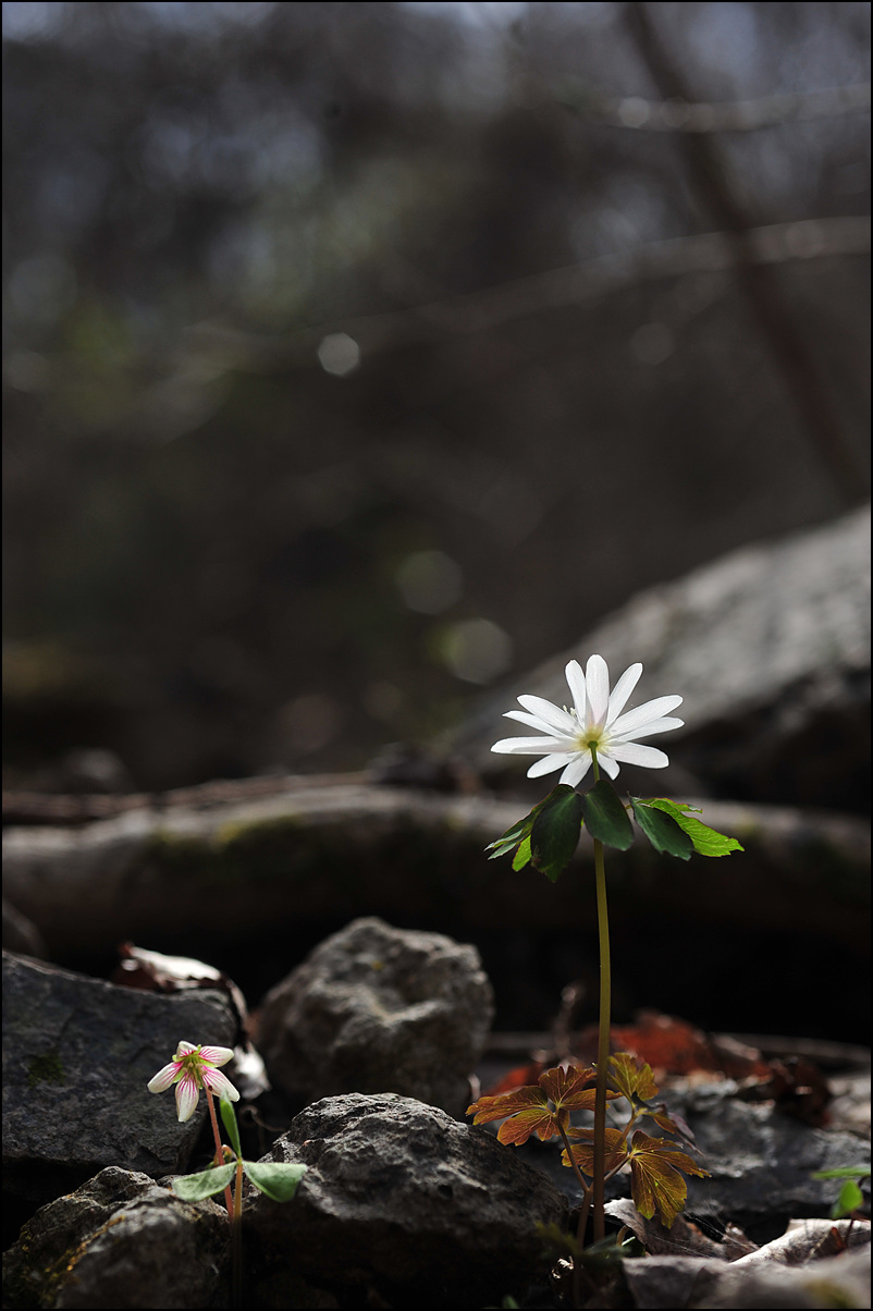 DSC_8824.jpg