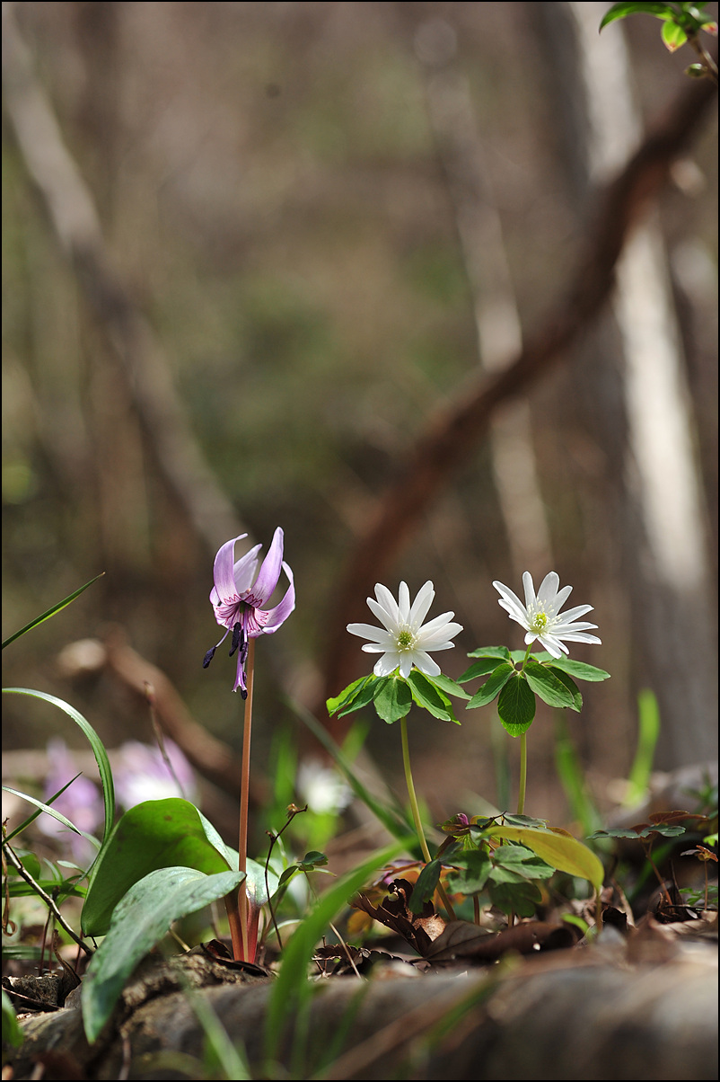 DSC_8882.jpg