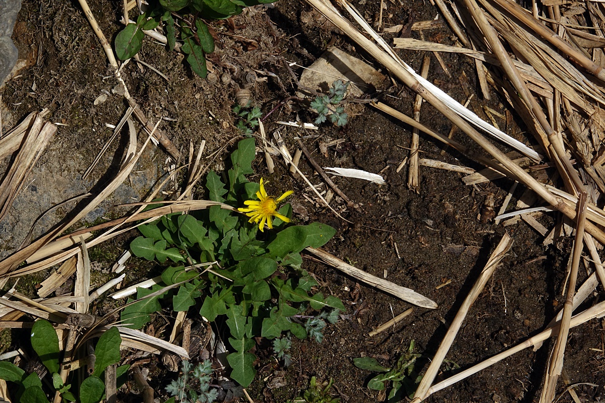 25-03-26 (163)-1.JPG