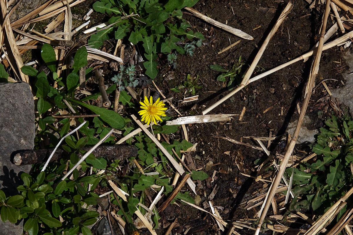 25-03-26 (161)-1.JPG