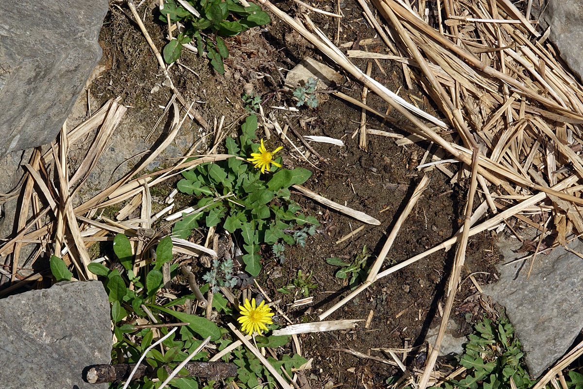 25-03-26 (156)-1.JPG