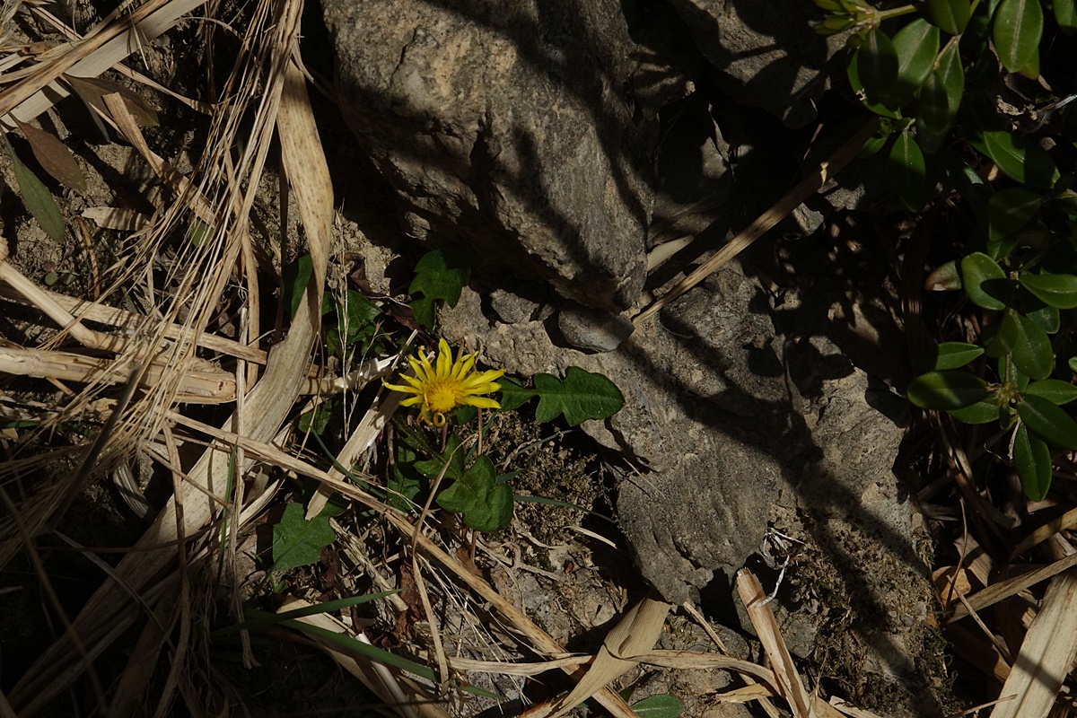 25-03-26 (165)-1.JPG