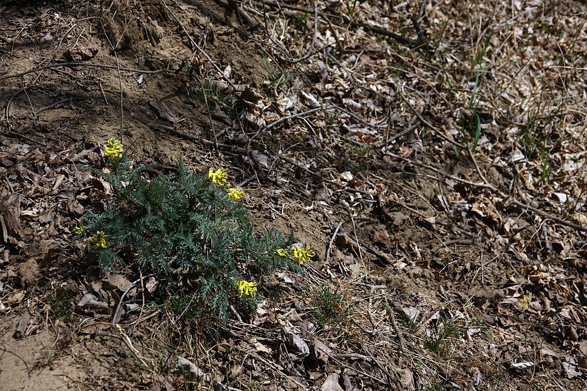 25-03-26 (169)-1.JPG