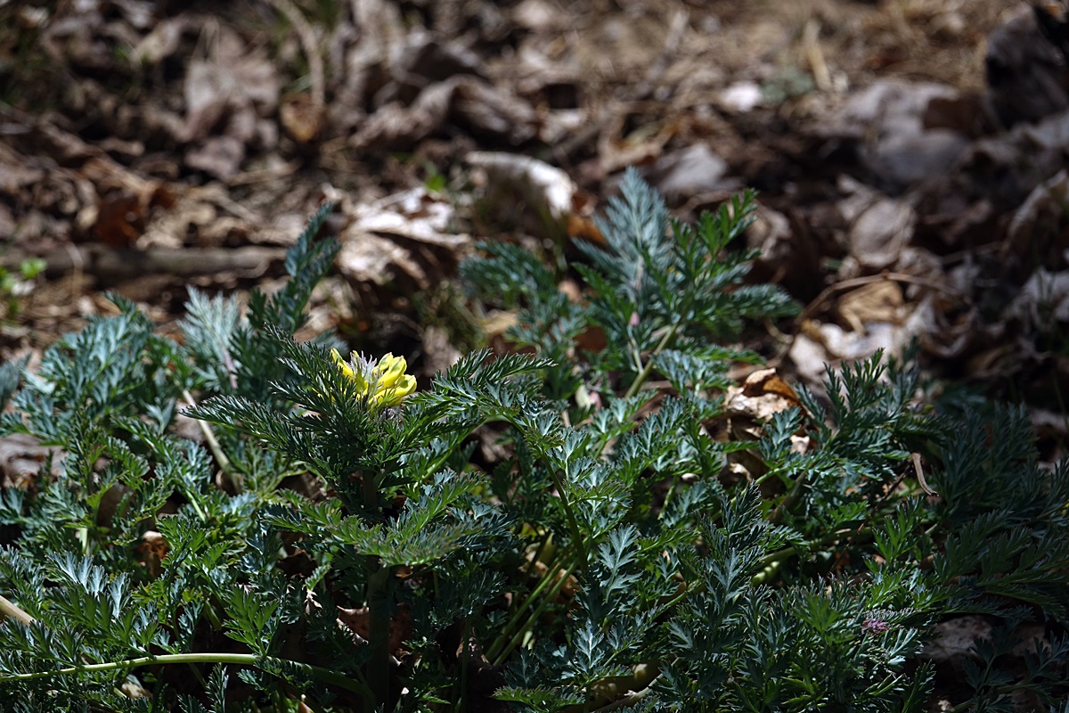 25-03-26 (173)-1.JPG