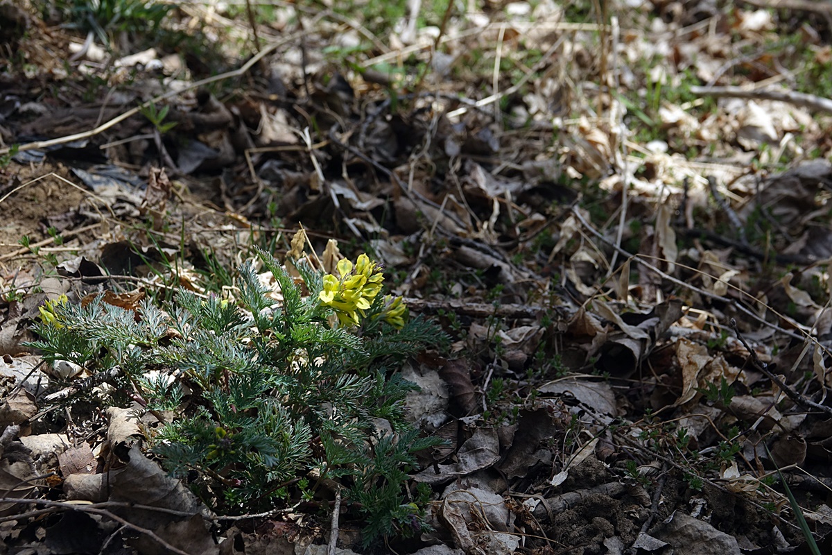 25-03-26 (167)-1.JPG