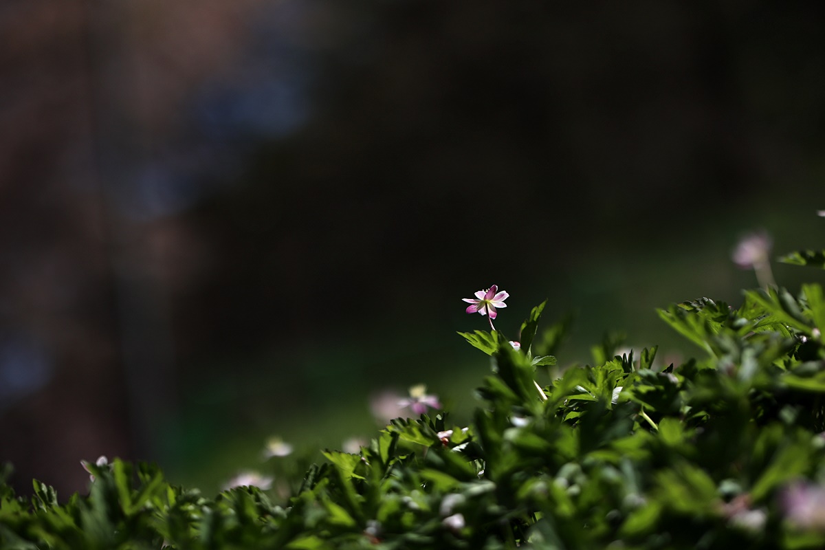 22-04-08 (138)-1.JPG