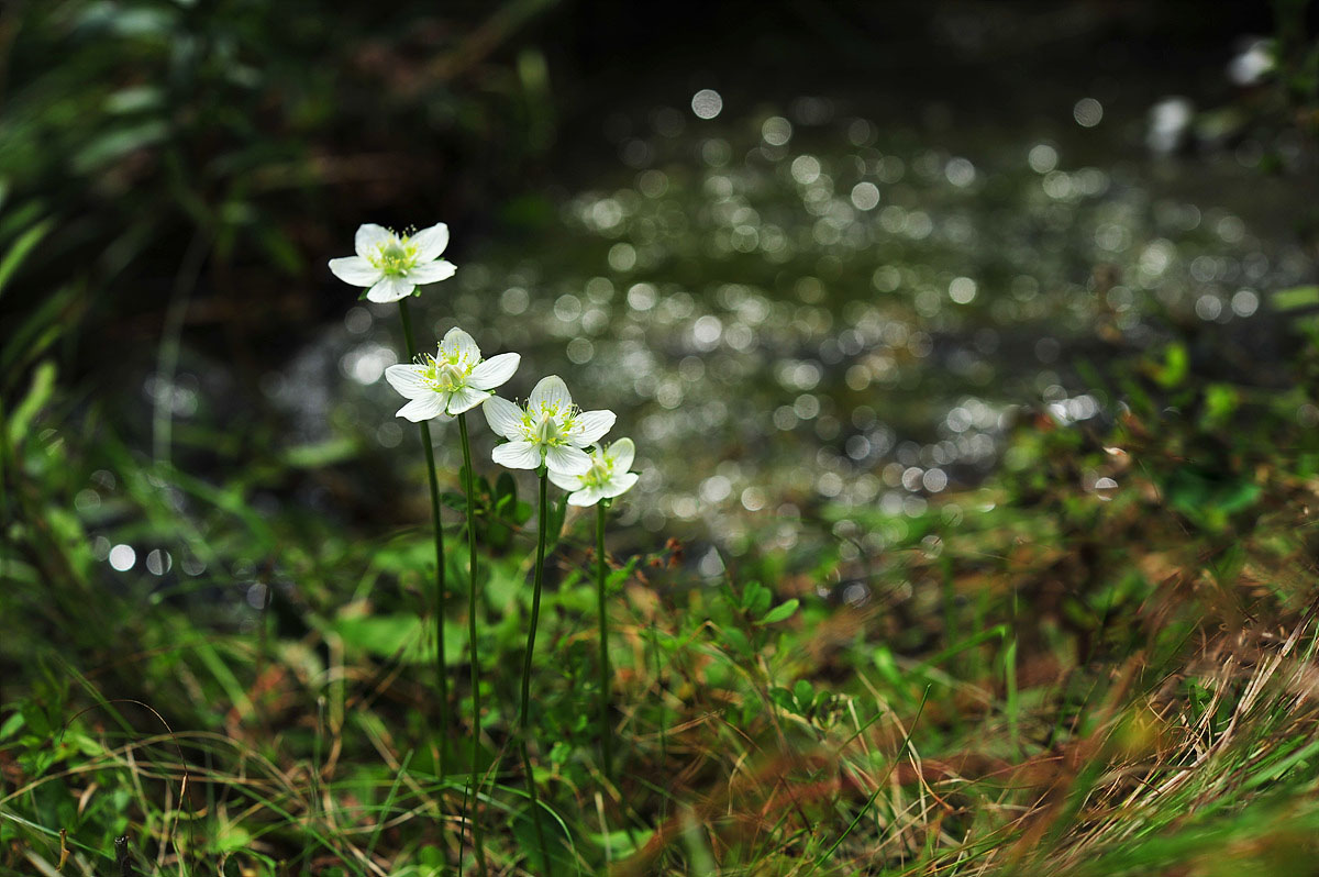 DSC_9697s.jpg