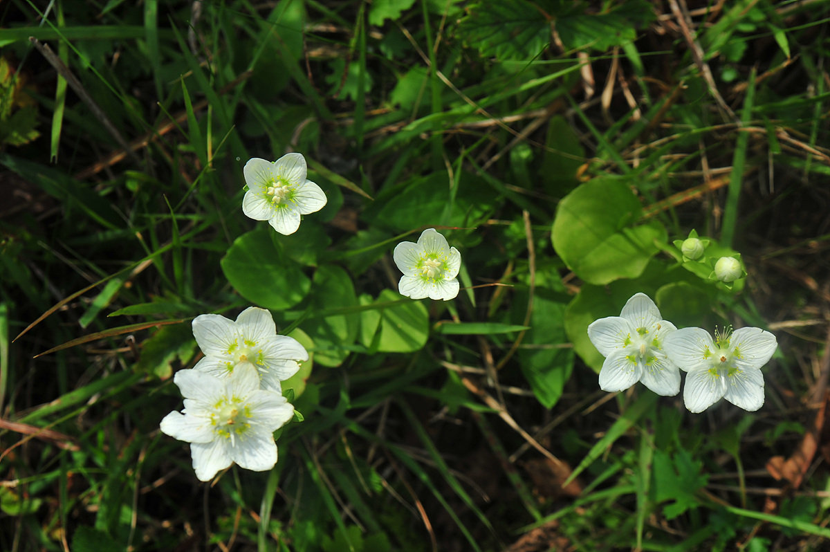 DSC_9637.jpg