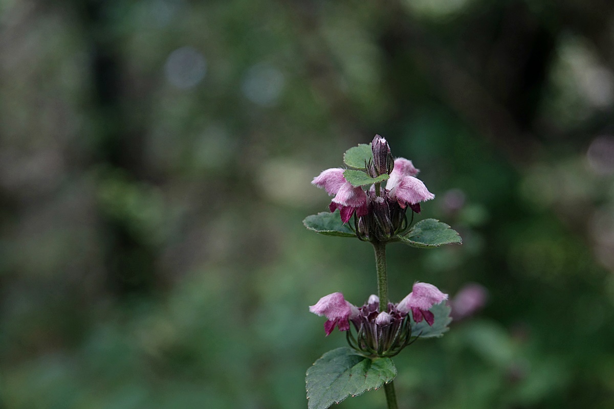 24-07-22 (182)-1.JPG