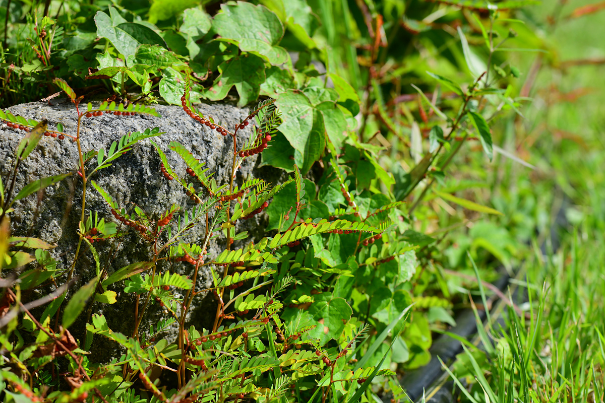 DSC_1958.jpg
