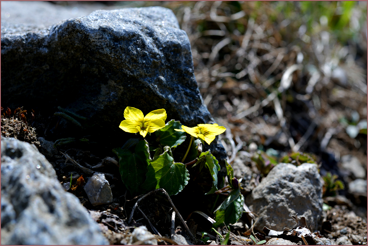 DSC_8814.jpg