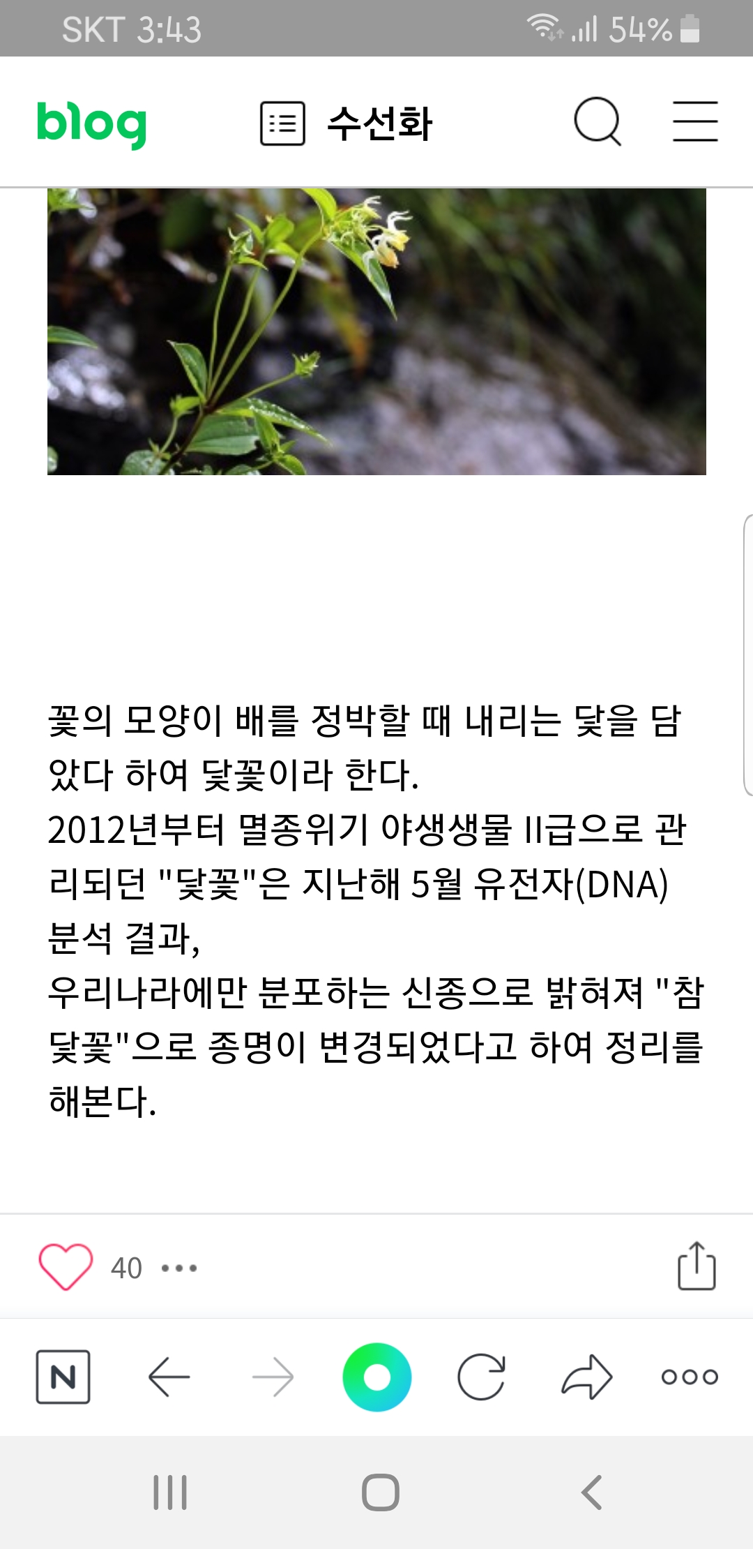 Screenshot_20200911-154319_NAVER.jpg