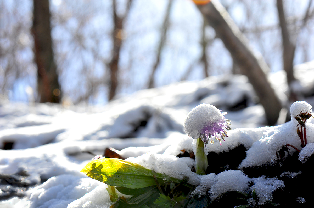 DSC_5024s.jpg