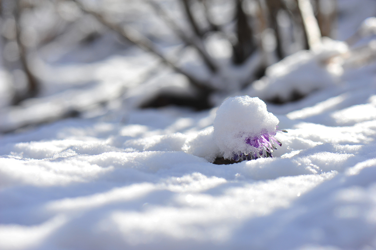 DSC_5037s.jpg