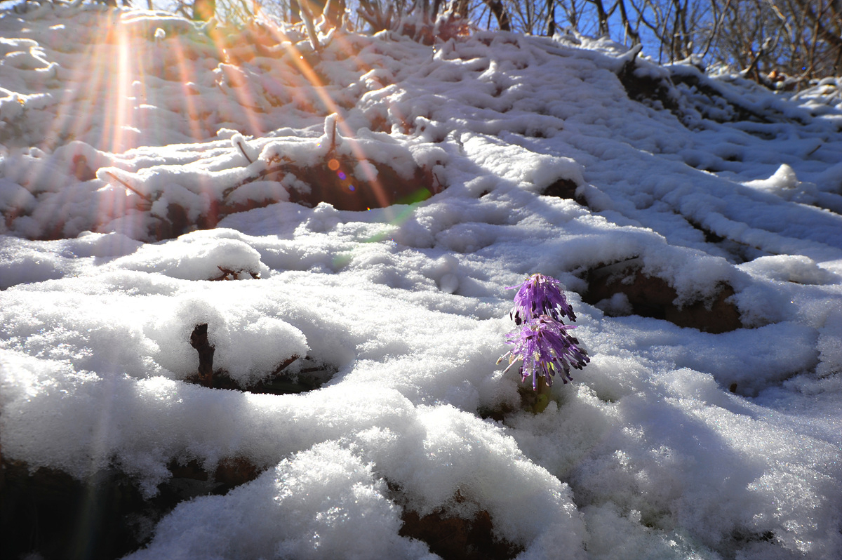 DSC_4794a.jpg