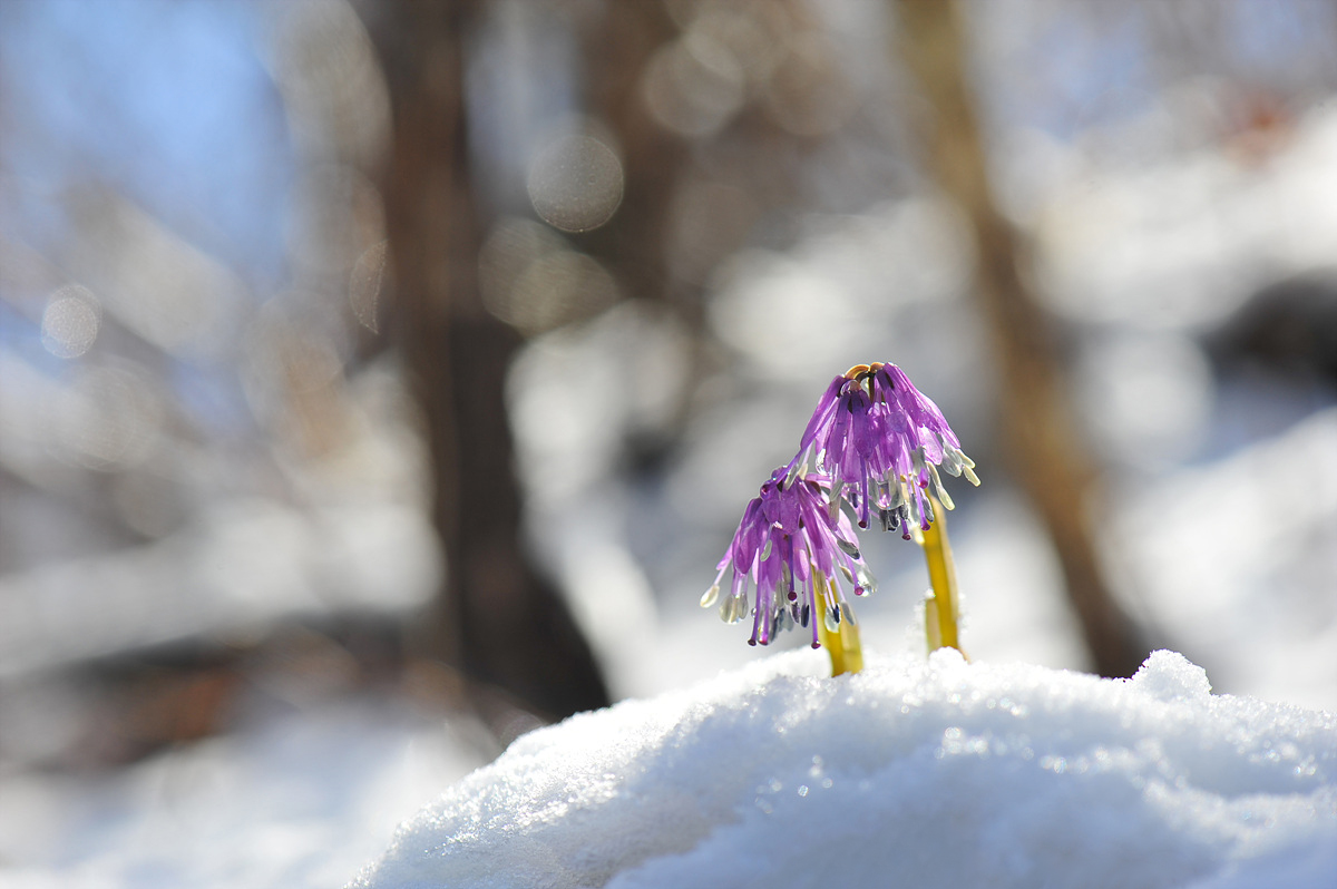 DSC_5052s.jpg