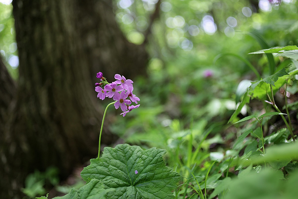 24-05-17 (192)-1.JPG