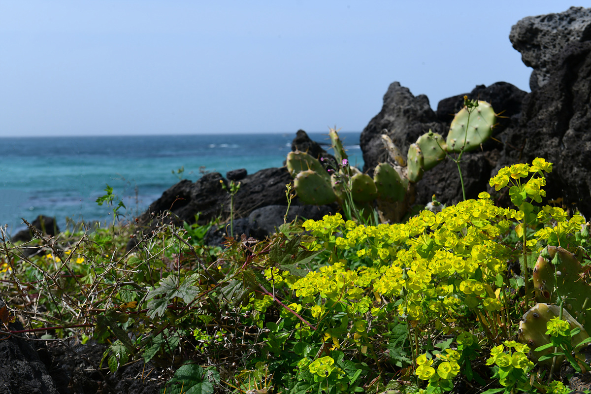 DSC_4754sss.jpg