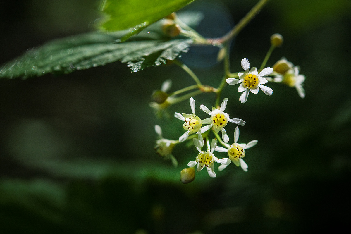 _DSC6561aa.jpg