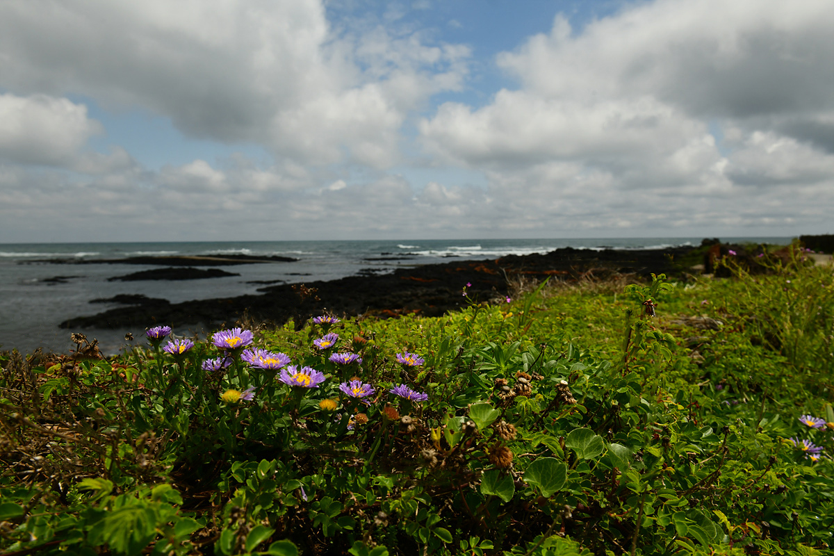 DSC_5734aaa.jpg