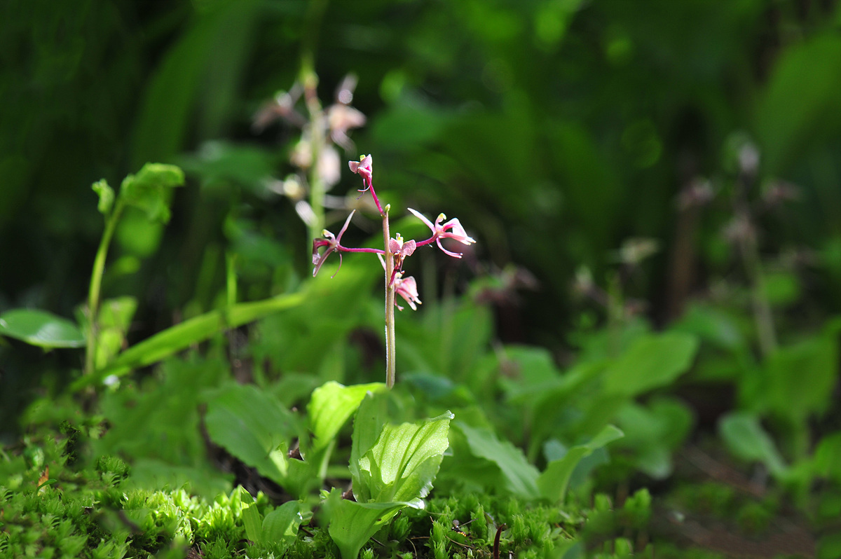 DSC_4660sss.jpg