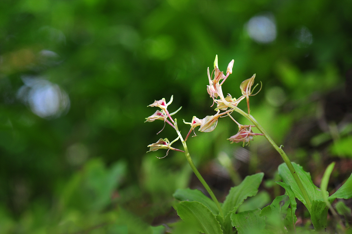 DSC_4654sss.jpg