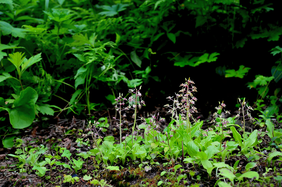 DSC_4682sss.jpg