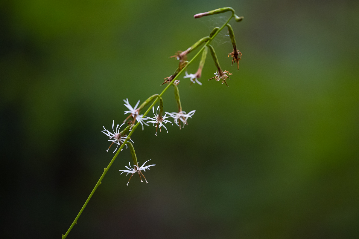 DSC_1412.jpg