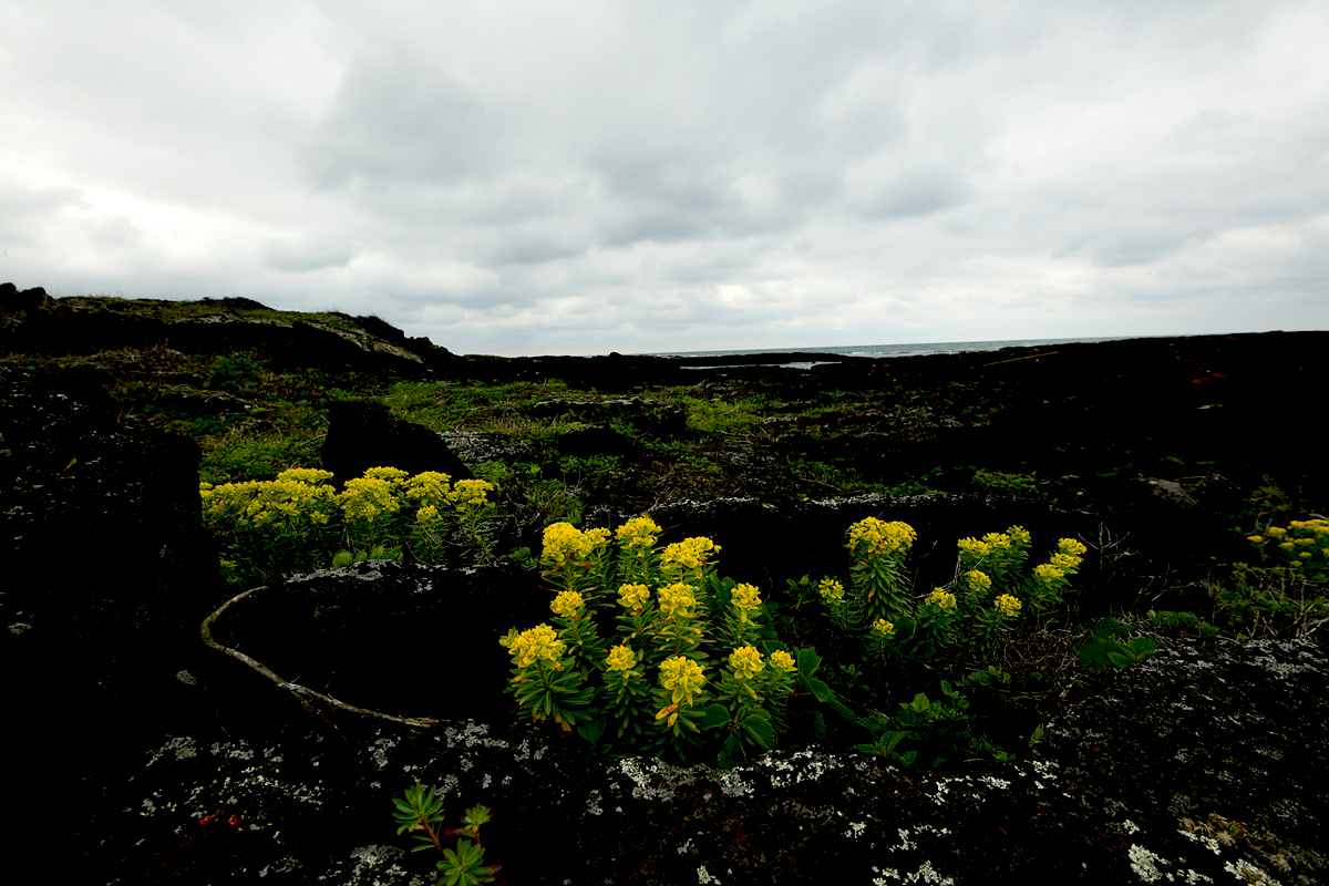 DSC_5807sss.jpg