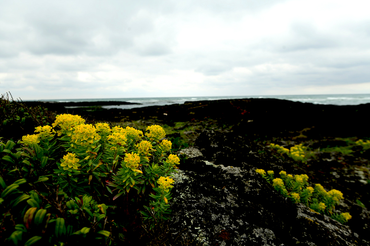 DSC_5805sss.jpg